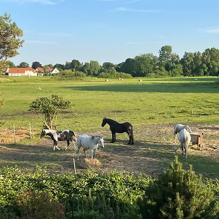 Boddenblick Wiek auf Ruegen