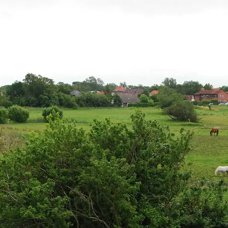 Boddenblick